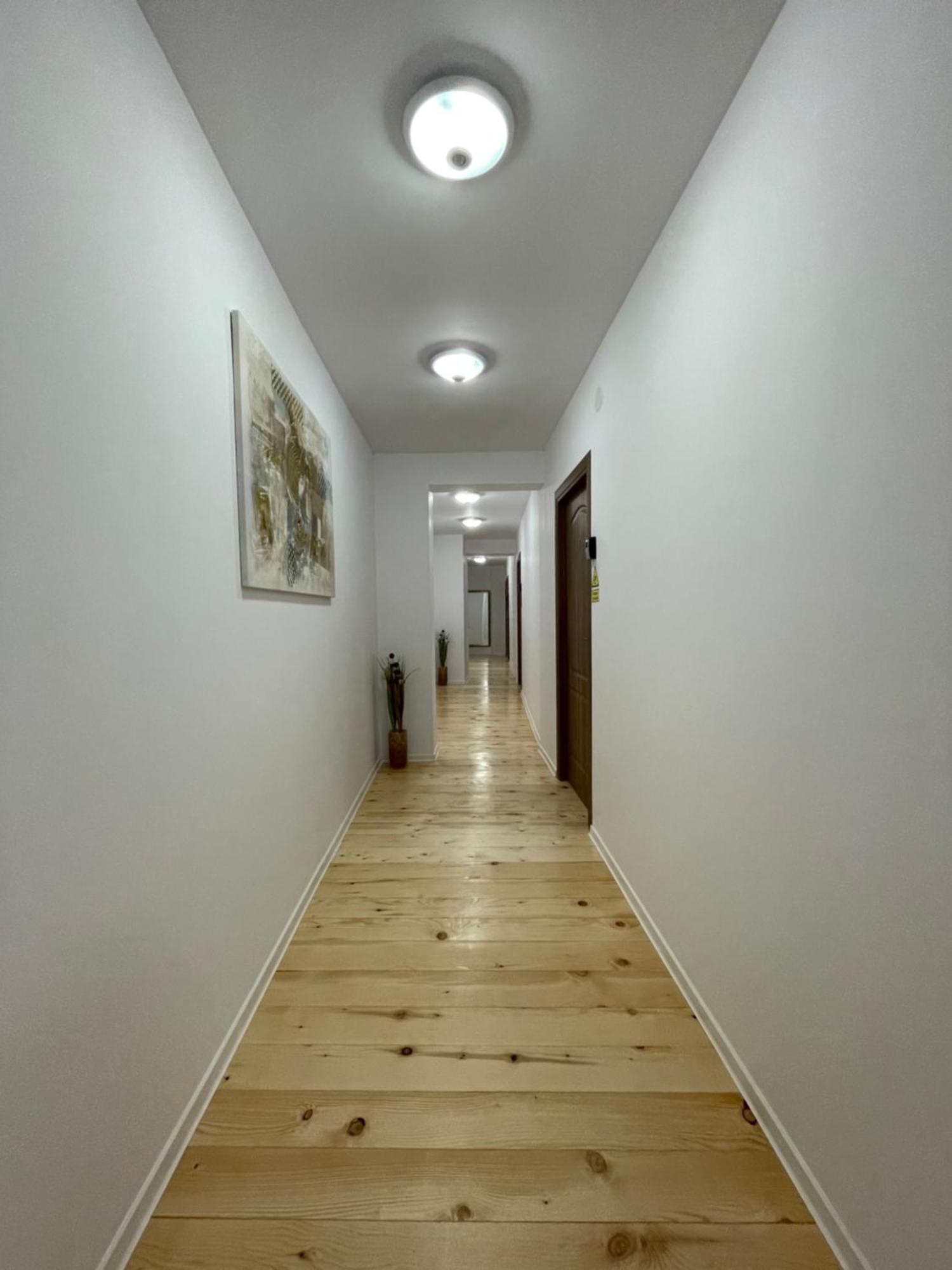 Schei Central Studios In The Heart Of Braşov Exterior foto